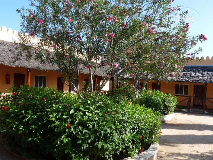 New photos from tourists Amaan Bungalows Nungwi 3*