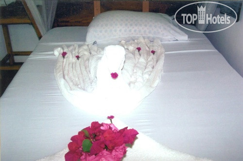 New photos from tourists The Nungwi Inn 3*