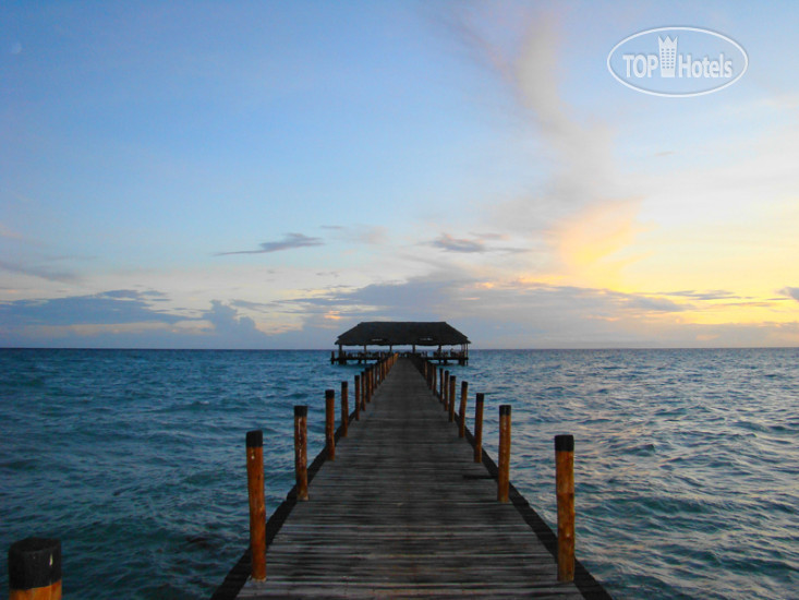 New photos from tourists Zanzibar Dolphin View Paradise Resort & Spa 4*