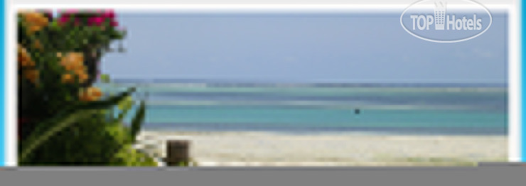 New photos from tourists Mvuvi Resort