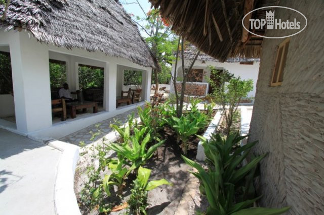 New photos from tourists Red Monkey Beach Lodge