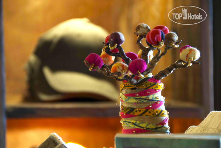 Photos Tarangire Treetops by Elewana