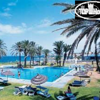 Фото Les Palmiers