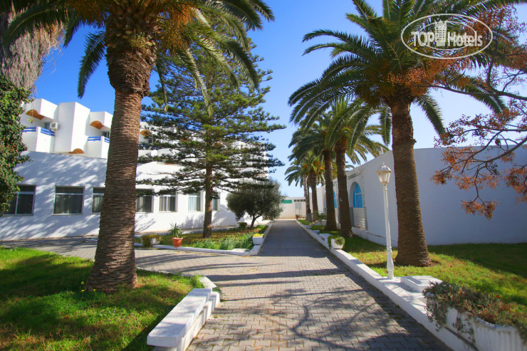 New photos from tourists Novostar Budget Pyramides Club & Spa 3*