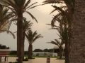 New photos from tourists Robinzon Club 4*