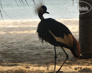 New photos from tourists La Voile dOr Hotel