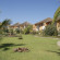 Фото Saly Royal