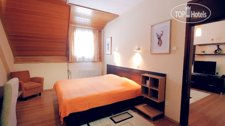 Hotel photo Junior 3*