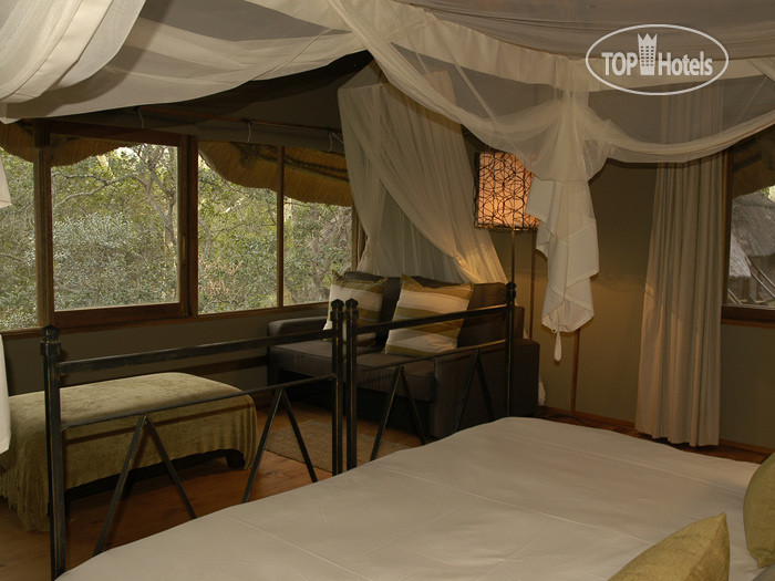 Фото Zululand Tree Lodge