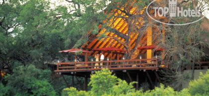 Photos Londolozi Private Game Reserve