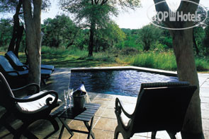 New photos from tourists Sabi Sabi Bush Lodge 5*