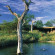 Фото Sabi Sabi Earth Lodge
