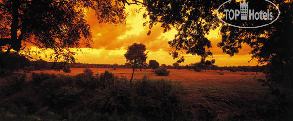 Фото Sabi Sabi Selati Camp