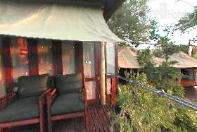Hotelier's photos Ngala Tented Safari Camp 4*