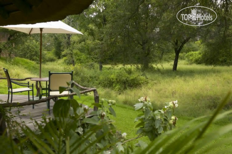 New photos from tourists Malamala Game Reserve 4*