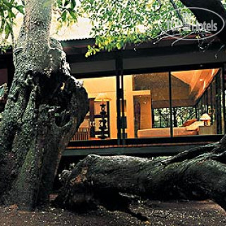 Фото andBeyond Phinda Forest Lodge