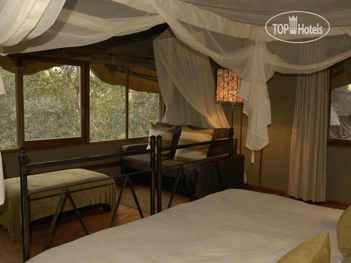 Hotel photo Zululand Tree Lodge 3*