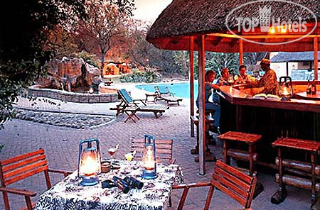 New photos from tourists Ingwe Game Lodge 4*