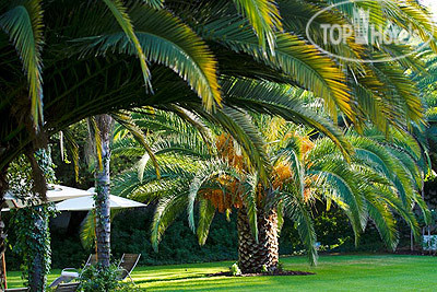 New photos from tourists Hlangana Lodge 4*