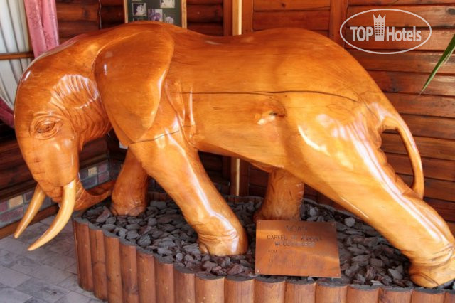 New photos from tourists Graywood 3*