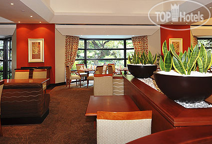 New photos from tourists City Lodge Sandton Katherine 3*