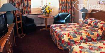 Hotel photo Tropicana 5*