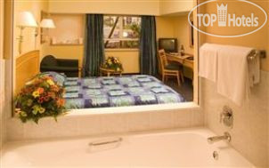 Новые добавленные фото туристов City Lodge Hotel 3*