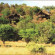 Photos Tshukudu Bush Lodge