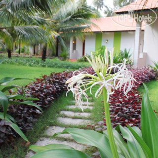 Photos Dat Lanh Beach Resort