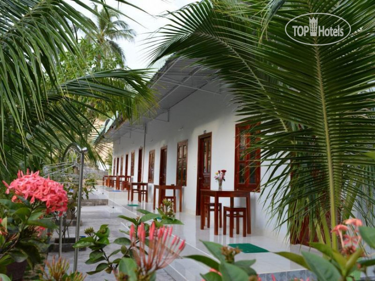 Photos Diem Lien Guesthouse