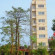 Nam Long Plus Hotel 2*