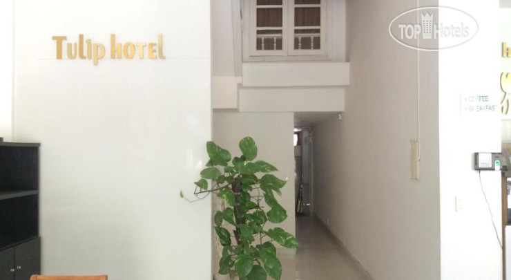 New photos from tourists Tulip Hotel