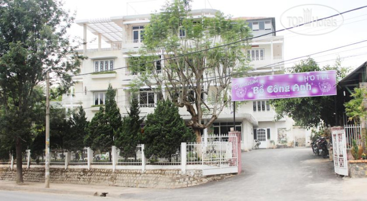 Hotelier's photos Dandelion Hotel 1*