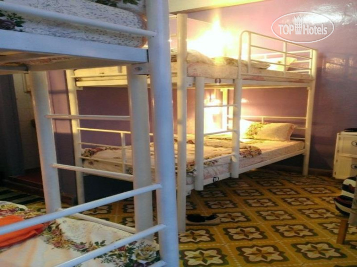 Hotel photo Newland Hostel 