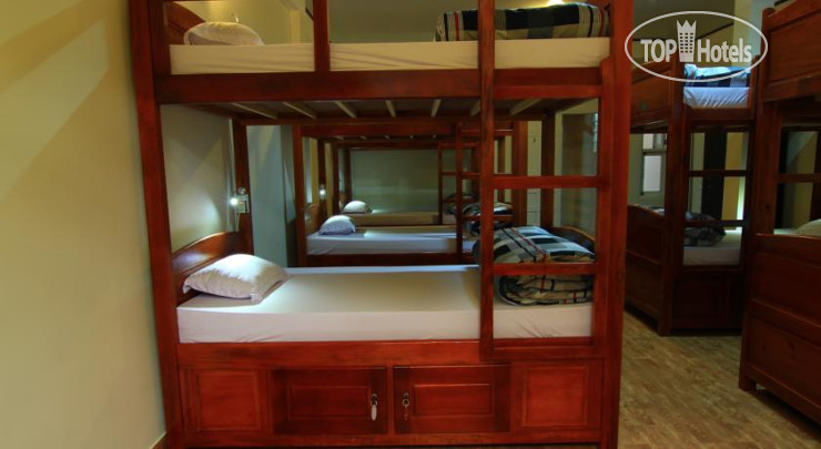 New photos from tourists Wolfpack Hostel Dalat