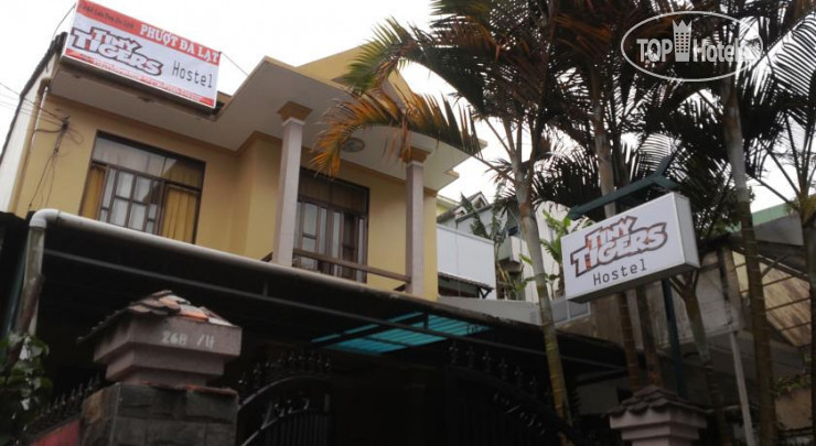 Hotel photo Tiny Tigers Hostel 