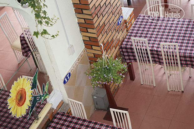 New photos from tourists An Thuy Hotel 2*