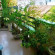 Фото Halo Tourist Guesthouse