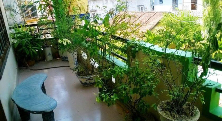 Photos Halo Tourist Guesthouse