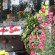 Photos Tuyen Son Hotel
