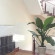 Phuc Loc Hotel 