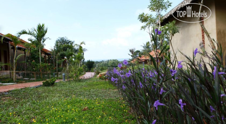 New photos from tourists Daisy Resort 3*