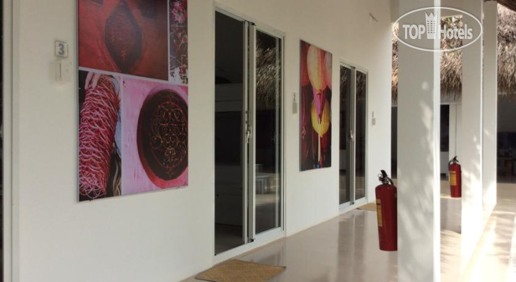 New photos from tourists Tenuee Hotel 2*