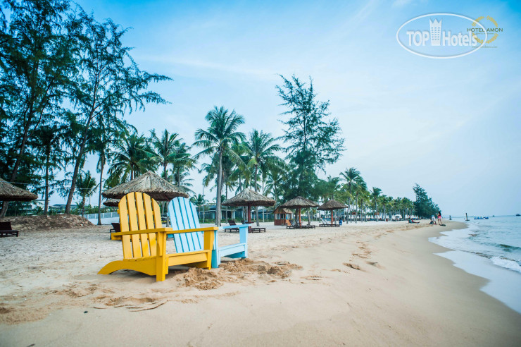 New photos from tourists Amon Hotel 3*