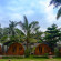 Photos Vida Loca Resort