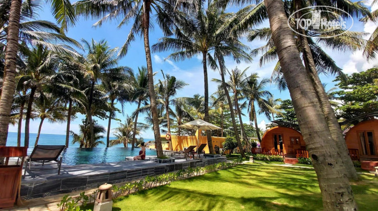 New photos from tourists Vida Loca Resort 3*