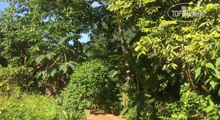 New photos from tourists Tam Coc Garden 4*