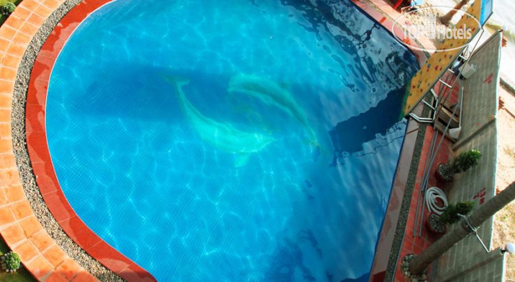 New photos from tourists Venus MuiNe Hotel 2*