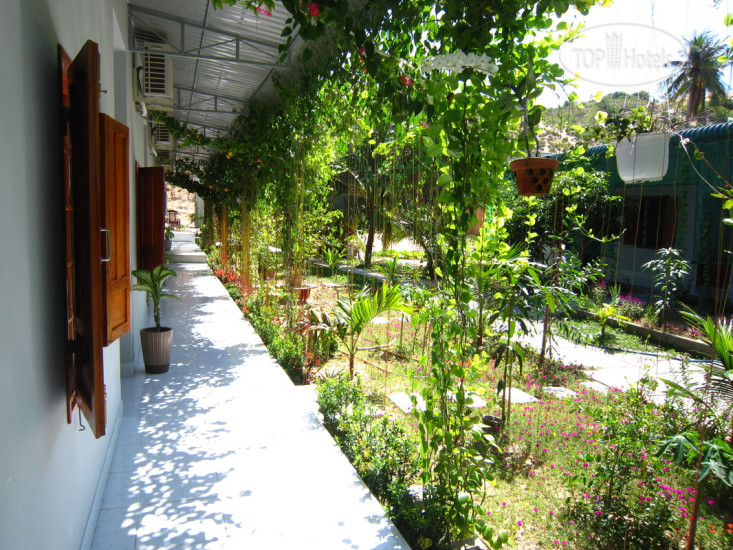 New photos from tourists Duc Thao Guest House
