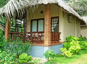New photos from tourists Bao Quynh Bungalow 3*